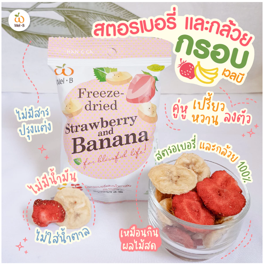 ๐๐ Wel-B Freeze-Dried Fruit Chips