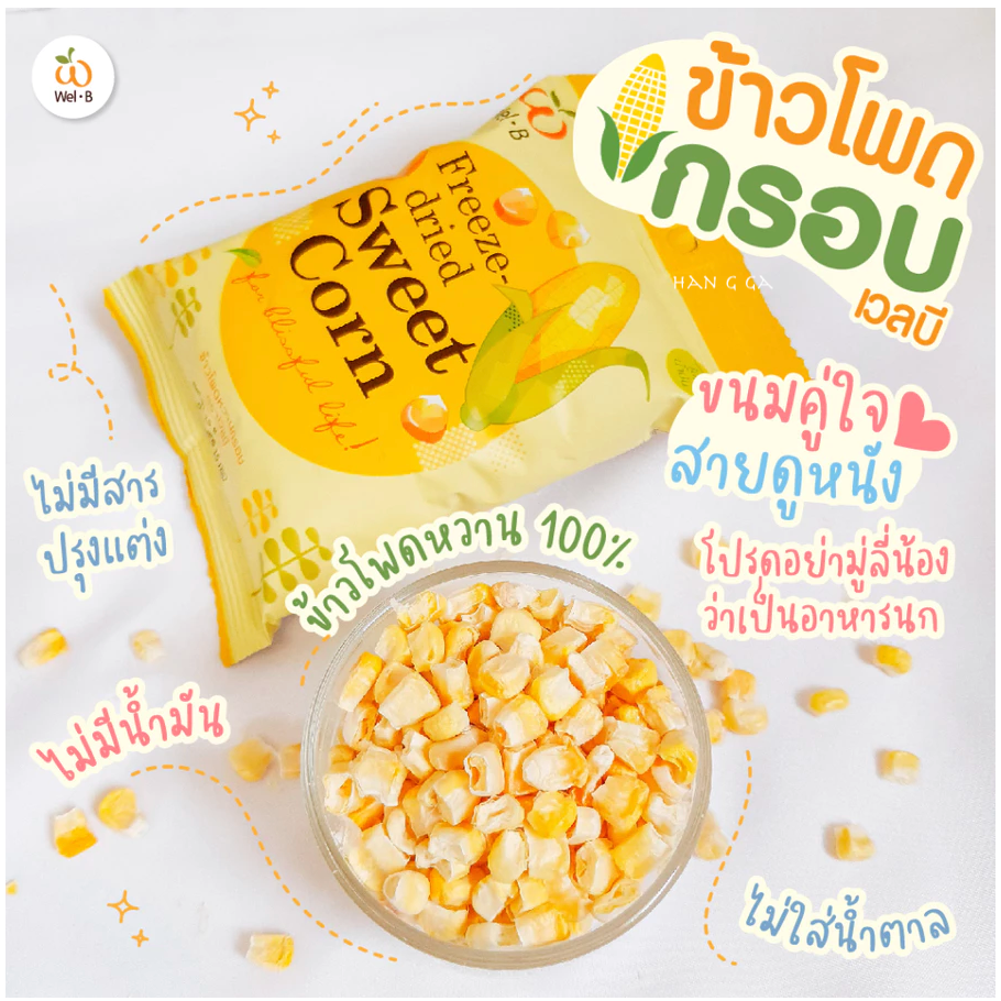 ๐๐ Wel-B Freeze-Dried Fruit Chips