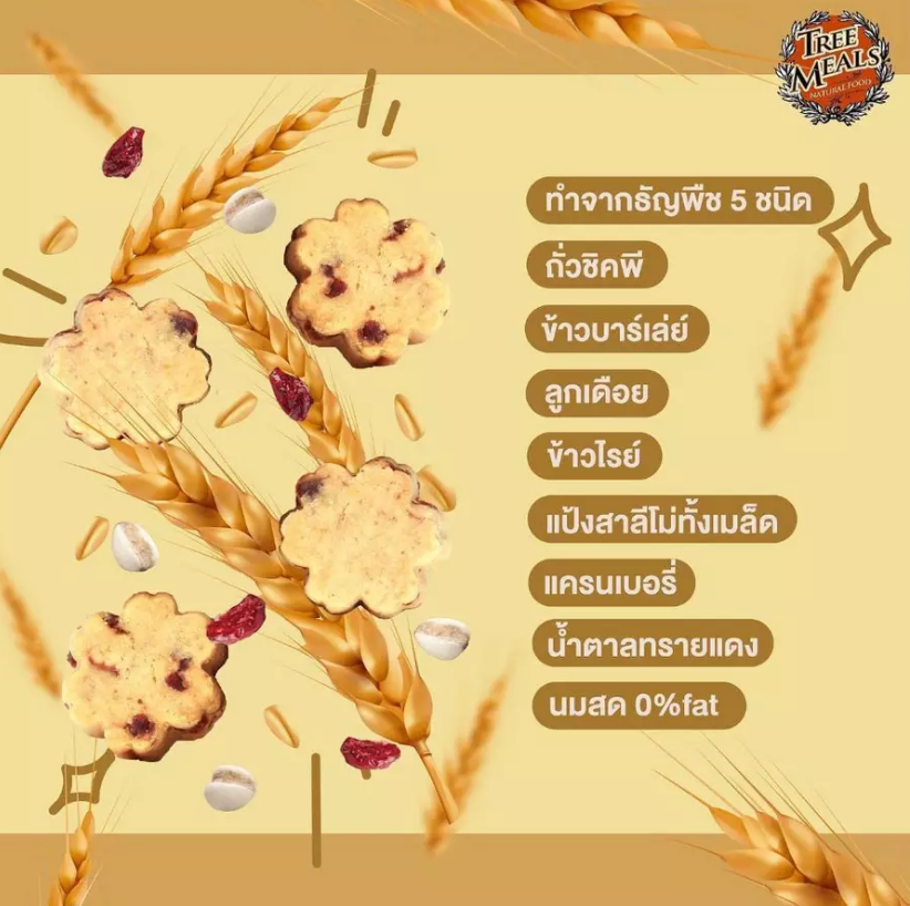 Treemeals Scones Cranberry