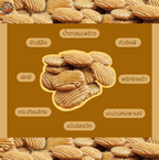 Treemeals Krong Krang Lean脆餅乾